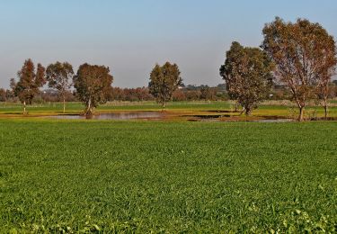 Randonnée A pied מועצה אזורית גן רווה - IL-10340 - Photo