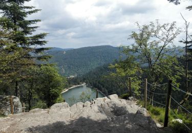 Trail Walking Cornimont - Brabanthière-Lac des Corbeaux - Photo