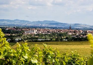 Tour Wandern Riom - Riom_Vignes_Ronchalon - Photo