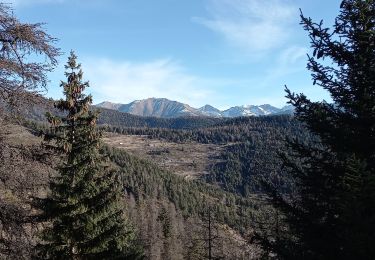 Tour Wandern Roubion - La Tête de Pommier Pin pourri - Photo