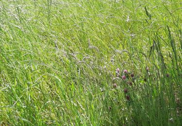 Tocht Stappen Lamastre - com montreynaud - Photo