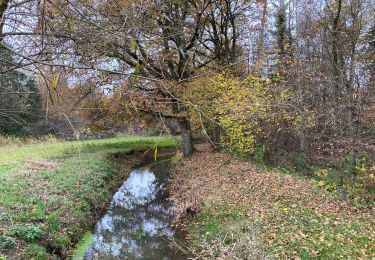Trail Walking Holsbeek - Holsbeek 15 km - Photo