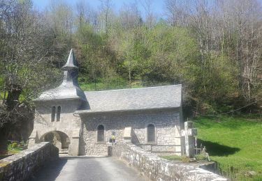 Tocht Stappen Corrèze - Chemin du Paradis - Photo