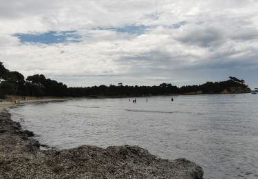 Excursión Senderismo Bormes-les-Mimosas - barrage du Trapan - Photo