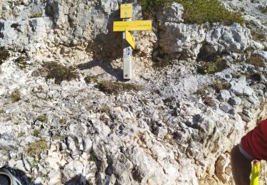 Trail Walking Sarcenas - chamchaude par la brèche Arnaud  - Photo