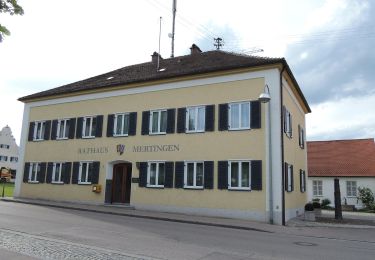 Tour Zu Fuß Mertingen - Ried Rundweg - Photo