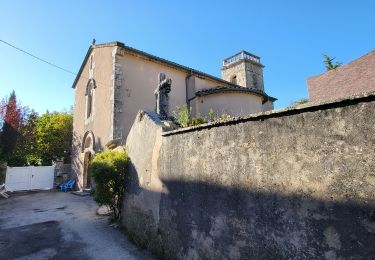 Trail Walking Sault - ballade du vallat du loup - Photo