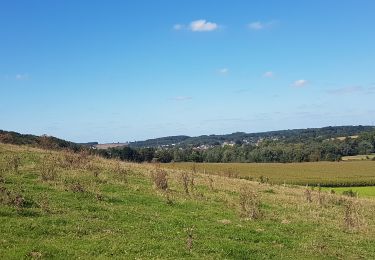 Tocht Stappen Valkenburg aan de Geul - Sibbe - Ijzeren - Schin-op-Geul  - Photo