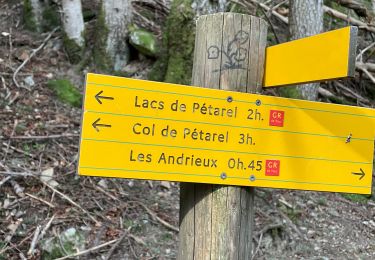 Trail Walking La Chapelle-en-Valgaudémar - Valgo2 - J2 : Col de Pétarel  - Photo