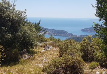 Trail Walking Èze - FORT DE LA REVECHE - Photo