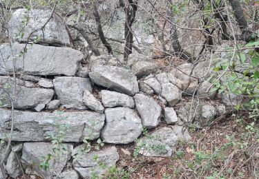 Randonnée A pied Le Revest-les-Eaux - tour dépôt de munitions - Photo