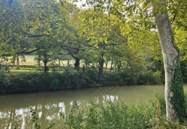 Trail Bicycle tourism Toulouse - Canal du midi étape 1 - Photo