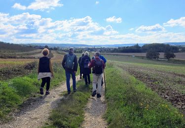 Randonnée Marche Rosoy - Boucle Véron depuis l'Auberge D'Hélix - Photo