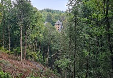 Tour Wandern Weismes - Robertville - Panorama de la Warche - Photo