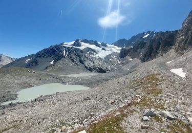Excursión Senderismo Pralognan-la-Vanoise - Col du soufre et bas du glacier de Gébroulaz - Photo