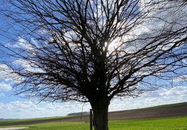 Randonnée Marche Gerpinnes - La maisonnette Ligne 137 - Photo