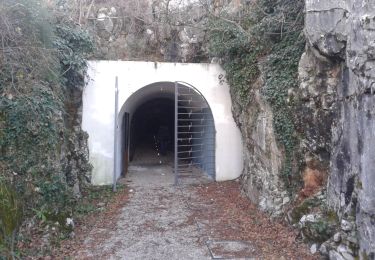 Percorso A piedi Savogna d'Isonzo - Sentiero CAI n. 74 - Photo