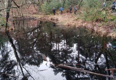 Trail Walking Fontainebleau - croix f'Augas Gilbert - Photo