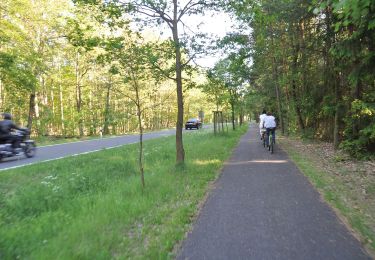 Trail On foot Schorfheide - Rundwanderweg Askanierturm - Photo