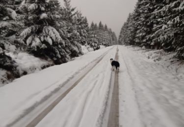 Tour Wandern Baelen - Croix Noir 19 km - Photo