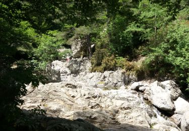 Tour Wandern Vivario - cascade - Photo