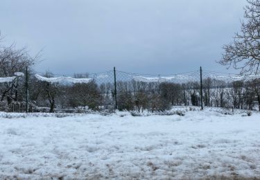 Percorso Marcia Gerpinnes - Hymiée sous la neige  - Photo