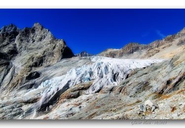 Trail Walking Vallouise-Pelvoux - Refuge du Glacier Blanc - Photo