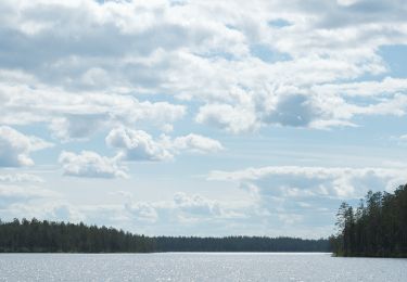 Tocht Te voet Kuusamo - Luontopolku - Photo