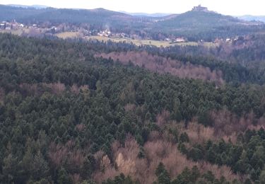 Tour Wandern Reinhardsmünster - Reinhardsmunster  - Photo