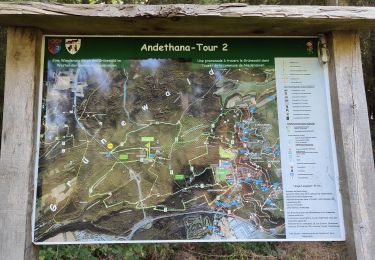 Randonnée Marche Steinsel - Ballade en forêt de Grünewald  - Photo