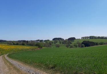 Percorso Marcia Neufchâteau - Verlaine - Cap au vert - Photo