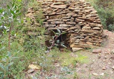 Excursión Senderismo La Cadière-d'Azur - saint cyr les fours à cade - Photo