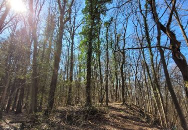Trail Walking Rochefort - rando ornitho belvaux 4-04-2023 - Photo