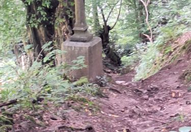 Tocht Stappen Trooz - Trooz ( Balade des Pery et ses hameaux au départ de la gare) - Photo