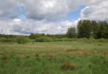 Tocht Te voet Dieburg - Geo-Lehrpfad Dieburg : Natur- und historischer Wanderweg - Photo