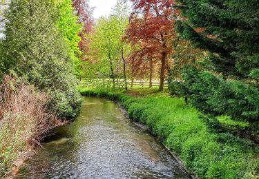 Tour Wandern Wavre - Champles - Tombeek - Photo