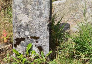 Randonnée Marche Malmedy - Baraque Michel - Photo