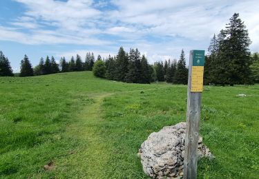 Tocht Stappen Engins - tour vercors Moliere - Photo