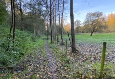 Tocht Stappen Landen - Ezemael 20 km - Photo