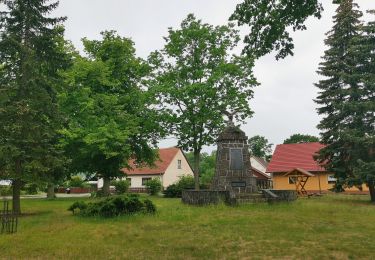 Percorso A piedi Unterspreewald - Wanderweg Neuendorf-Tschinka-Alt Schadow - Photo