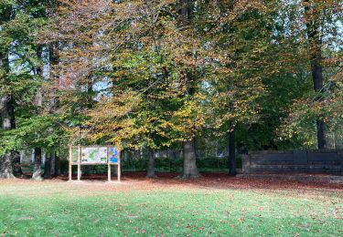 Randonnée Marche Tervueren - Arboretum - Photo