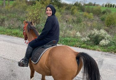 Trail Horseback riding Blâmont - Sortie Blamont avec Élodie  - Photo