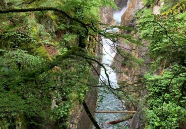 Percorso Marcia Cauterets - Chemin des cascades  - Photo