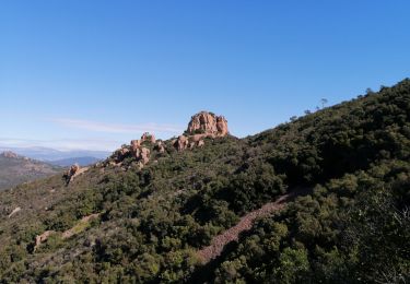 Trail Walking Saint-Raphaël - trayas pic de l'ours  - Photo