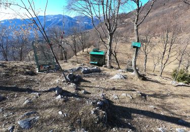 Percorso A piedi Taleggio - Capo Foppa - Passo Baciamorti - Photo