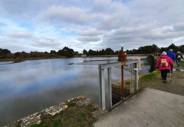 Tour Wandern Le Hézo - Le Hezo - Photo