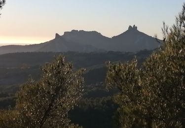 Tocht Stappen Malaucène - col de la chaîne  - Photo