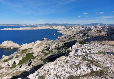 Trail Walking Marseille - pomegues - Photo
