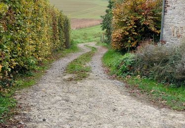 Trail Walking Mettet - Mettet 141122 - Photo
