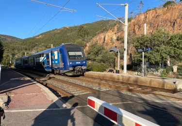 Tour Wandern Saint-Raphaël - Cap Roux par l'Est depuis la gare du Trayas - Photo